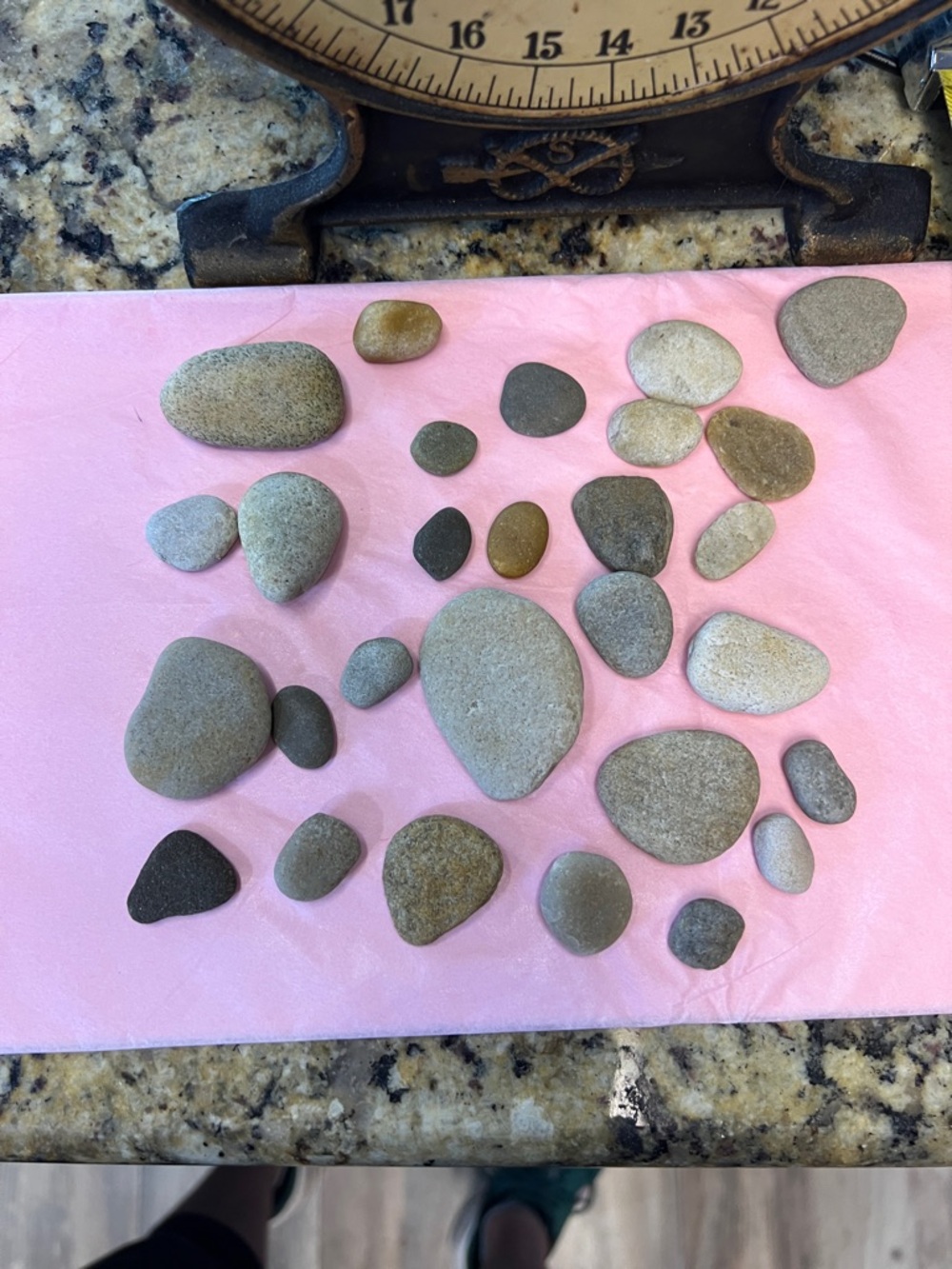Potomac River natural rocks- Neutral Tones